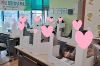 집단상담프로그램 19회기 수료 안내